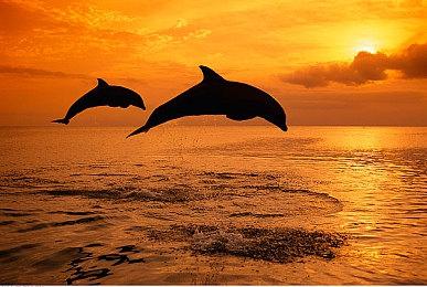 经典作品《黄金眼007》重制版开发陷入困境